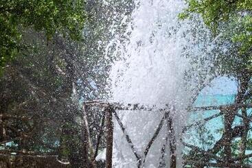 هتل The Island Pongwe Lodge