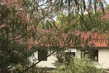Passpartout Hostel