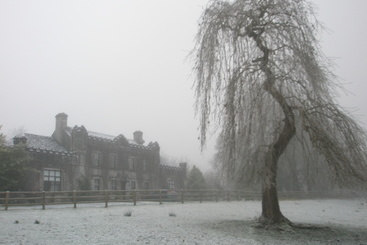 Bed and Breakfast Newpark House