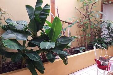 호텔 Dolphin's B&b