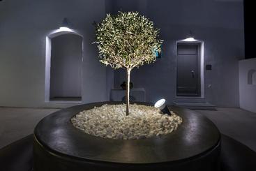 호텔 White Harmony Suites