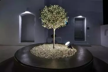 Hotelli White Harmony Suites