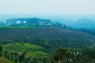 בית מלון כפרי Forest Glade