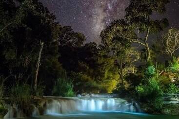 ホテル Vanvisa At The Falls