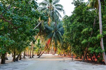 هتل Maldives Seashine Guesthouse