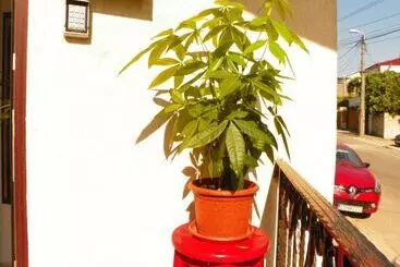 Hotel Adrys Boutique Villa