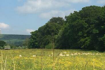 Hotel Shellow Lane Lodges