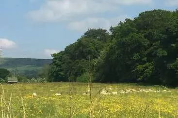 Hotel Shellow Lane Lodges