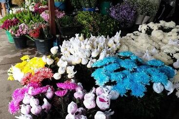 هتل Zzz Crest Chiang Mai