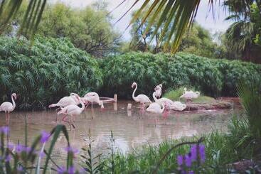 هتل Mount Etjo Safari Lodge