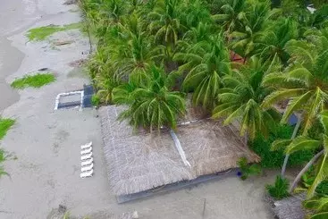 هتل La Tortuga Verde 