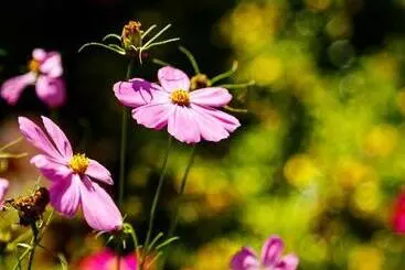 ペンション Chez Domaine Pousada Organica