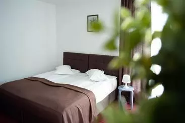 ペンション Casa Vlasin