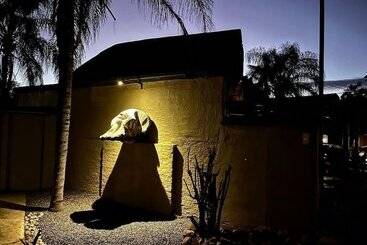 بنسيون La Lechere Guest House