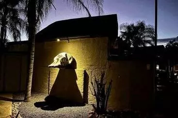 Pension La Lechere Guest House