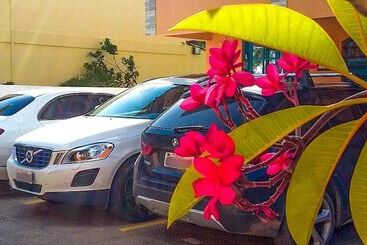 Pensão Pousada Santo Aleixo