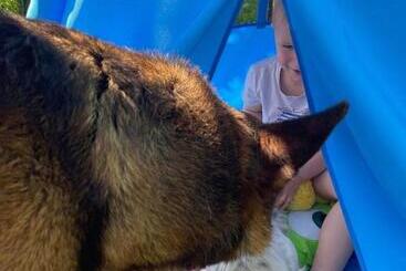 펜션 Casa Yachi Vama Veche