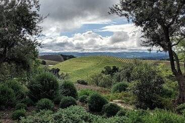 ユースホステル Croad Vineyards   The Inn