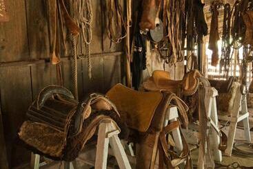 Отель Pousada Chácara Das Roseiras