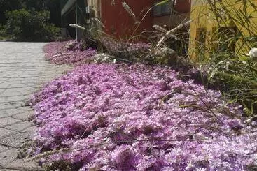 ペンション Il Locandiere