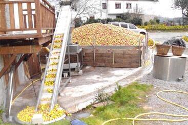 酒店 Casa Rural Arratzain