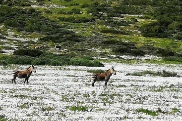 Пансион Sandra's Guest House
