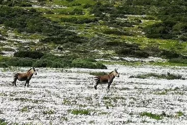 Majatalo Sandra's Guest House