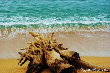 شقة فندقية Residenze L Isola Surf House