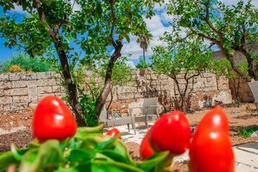 膳宿费 Riz Salento Guest House