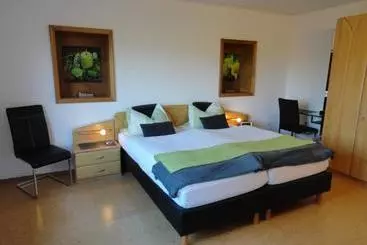 ユースホステル Appartement Pension Schüßler