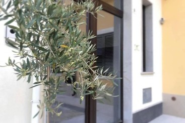 تختخواب و صبحانه Terra Di Sicilia Luxury Centro