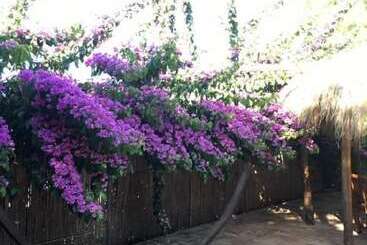 هتل Agriturismo Marilà