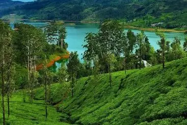 Hotel Hatton City Stay