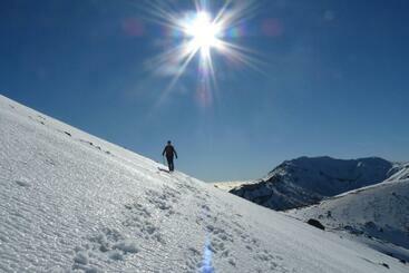 Мотель Tongariro Boutique B&b