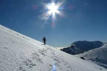 モーテル Tongariro Boutique B&b