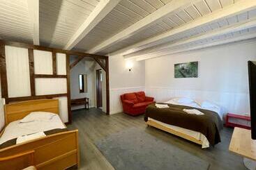 הוסטל Hanul Moara Veche Pensiune Restaurant