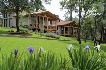 ホテル Cabañas La Vid Del Bosque