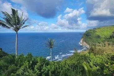 Retkeilymaja Kohala Village Inn