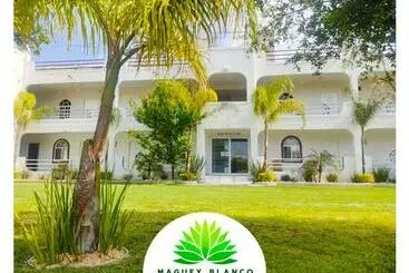 Hotel Maguey Blanco