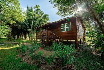 ホテル Kikiwitz Resort