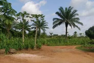 Bed and Breakfast Chez Sabine