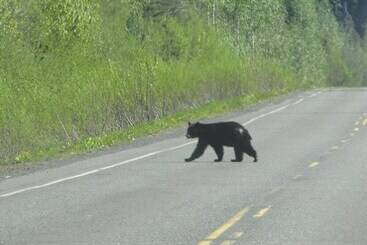 Panzió Bear Valley Guesthouse
