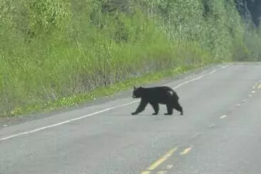 Majatalo Bear Valley Guesthouse