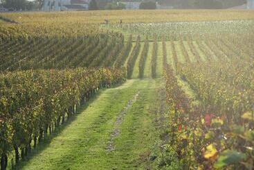 بنسيون La Villa Du Chateau Belloy