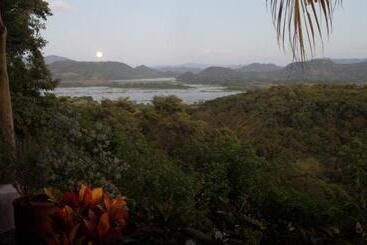 Pension The Mayan Grouper