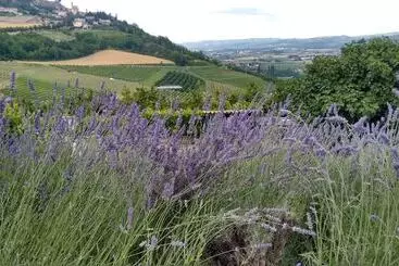 Pensione Agriturismo Solestelle