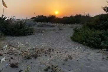 Hotel Tenuta Palmira Agriturismo