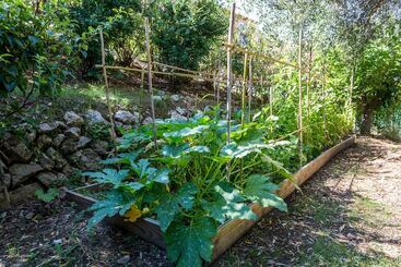 ペンション Mas De Provence En Riviera