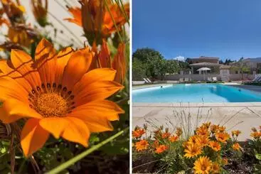 Appart'hotel Résidence Villa Romana Avec Spa