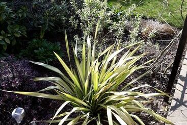 펜션 Banbury Cross B&b